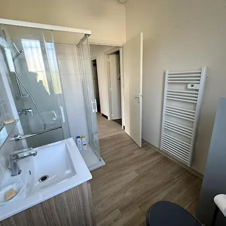 Appartement Sabatier T4 Avec Terrasse Et Jardin Carcassonne Exterior foto