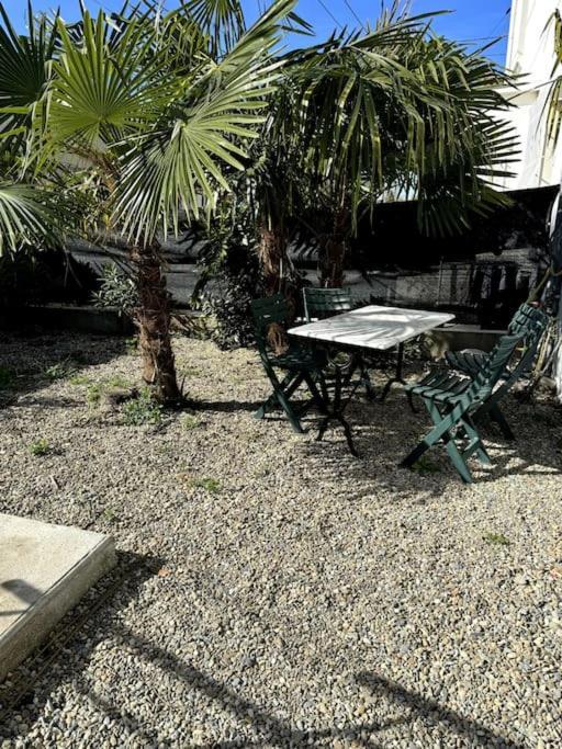 Sabatier T4 Avec Terrasse Et Jardin Carcasona